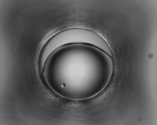 X0000102230199200807251243
