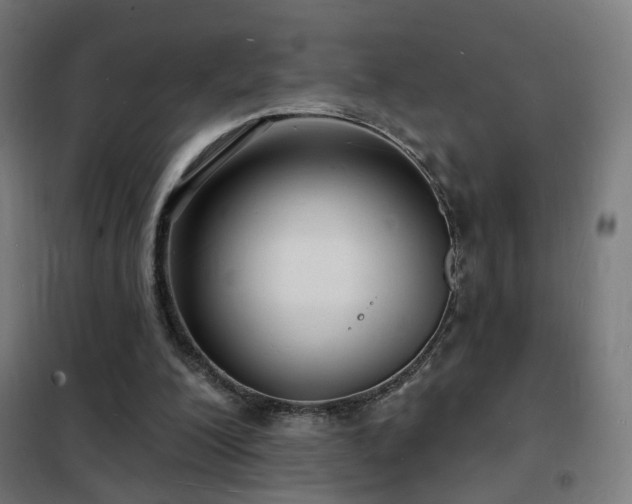 X0000102230200200807251242