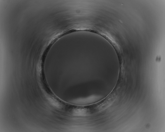 X0000102230202200807251242