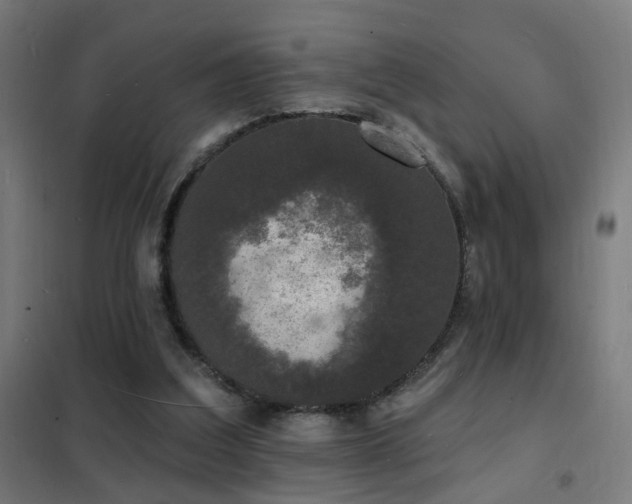 X0000102230203200807251242