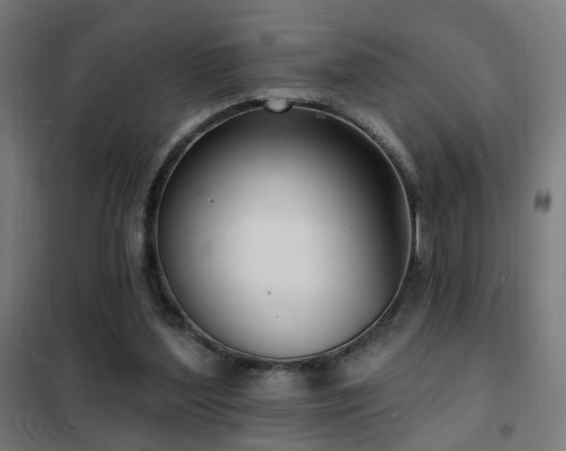 X0000102230204200807251242