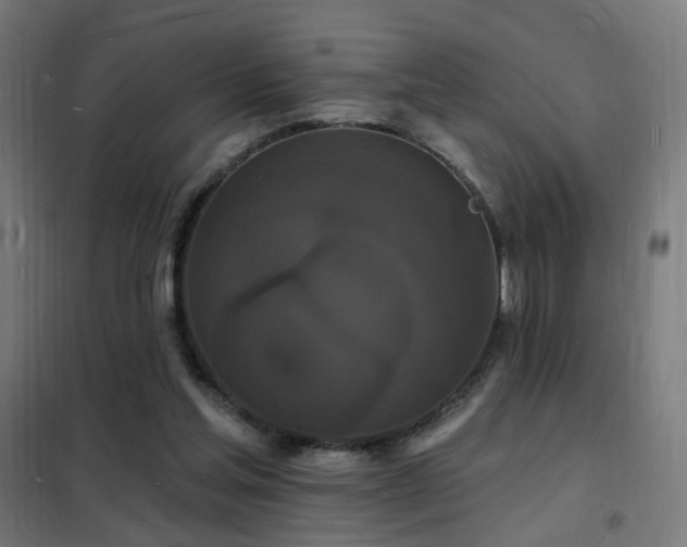 X0000102230205200807251242