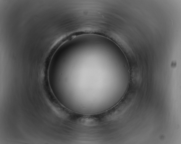 X0000102230208200807251242