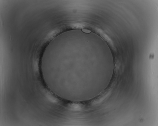 X0000102230209200807251242