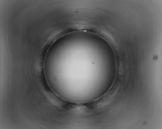 X0000102230210200807251242