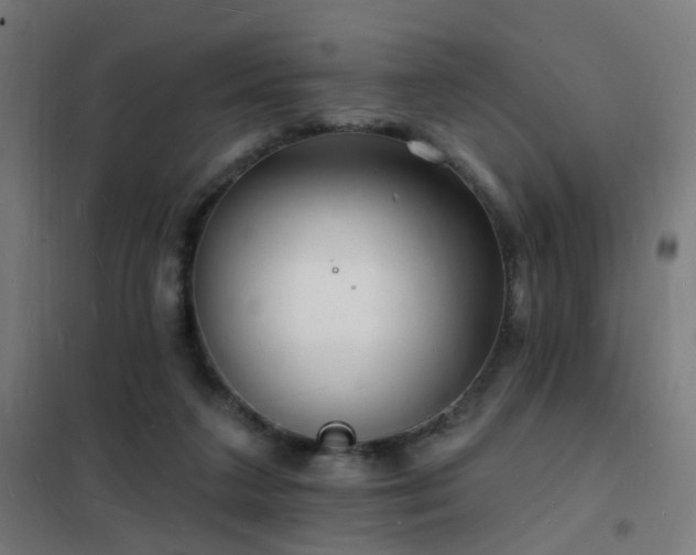 X0000102230211200807251242
