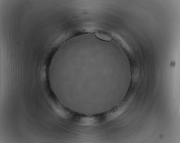 X0000102230213200807251242