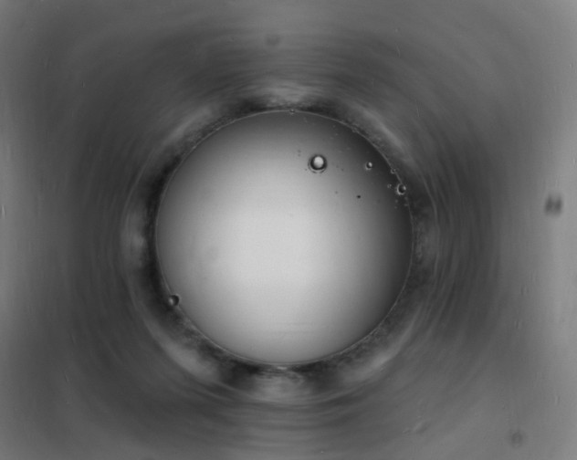 X0000102230215200807251242