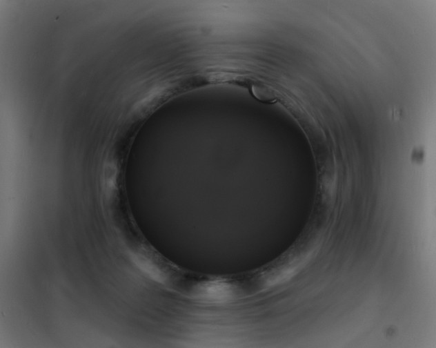 X0000102230219200807251242