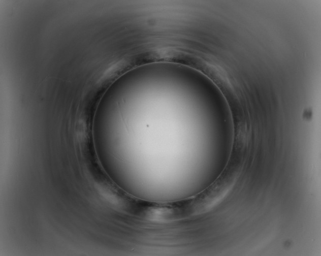 X0000102230220200807251242