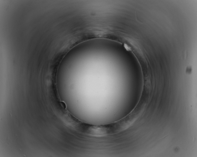 X0000102230221200807251242