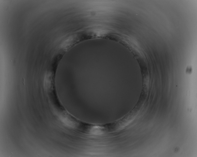 X0000102230222200807251242