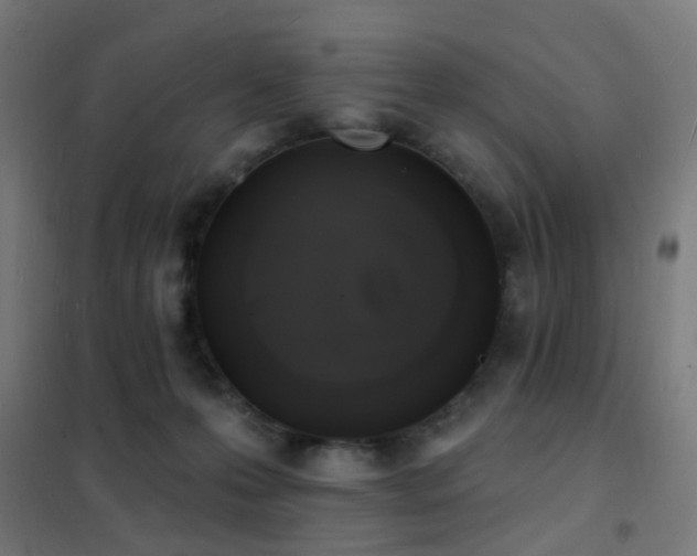 X0000102230223200807251242