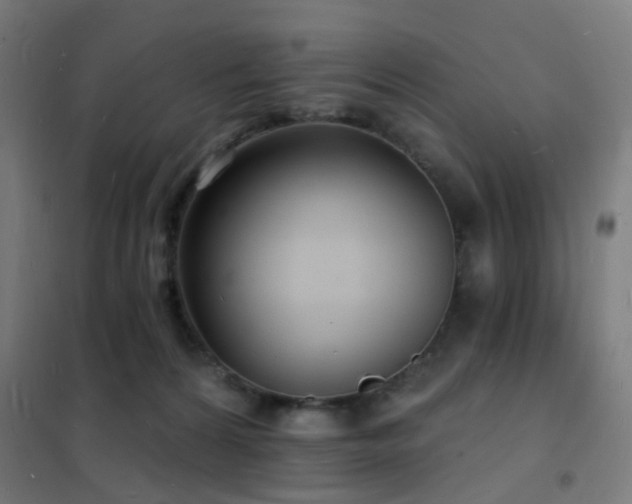 X0000102230224200807251242