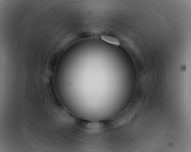 X0000102230225200807251242