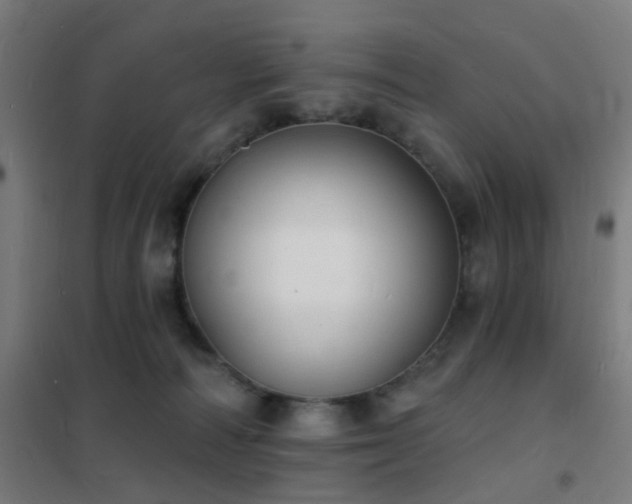 X0000102230226200807251242