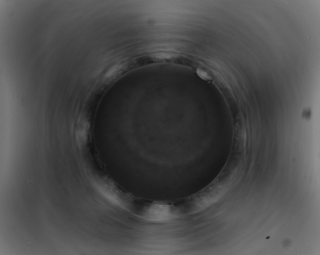 X0000102230227200807251242