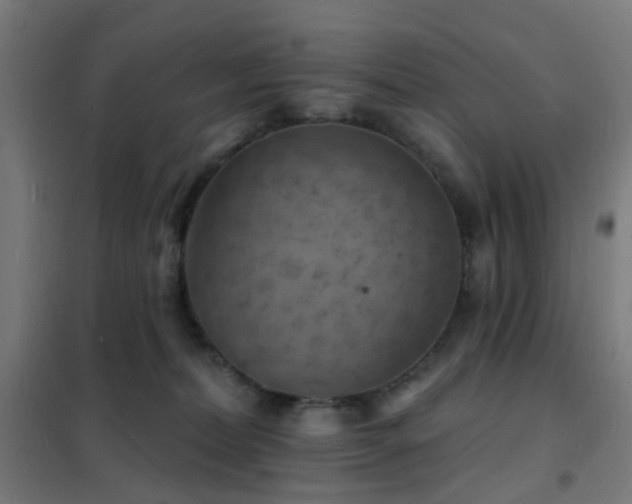 X0000102230228200807251242
