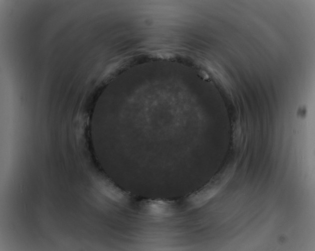 X0000102230229200807251242