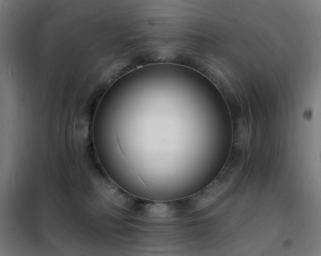 X0000102230230200807251242