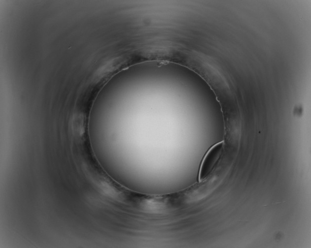 X0000102230232200807251242