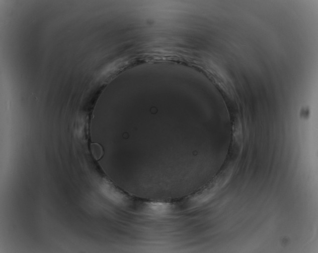 X0000102230233200807251242