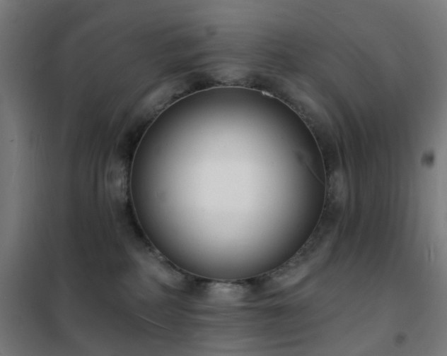 X0000102230234200807251242