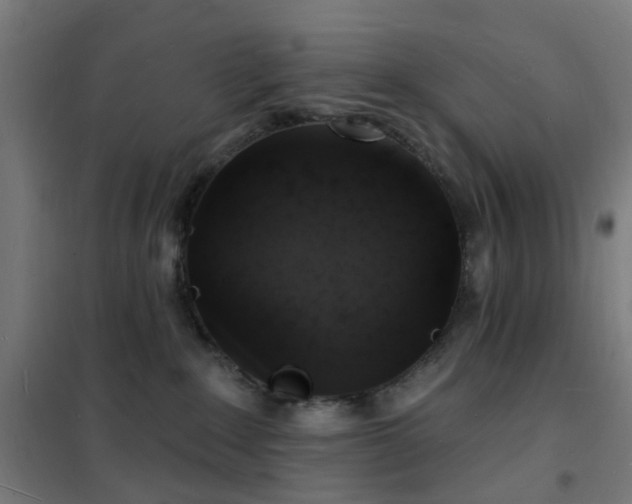 X0000102230235200807251242