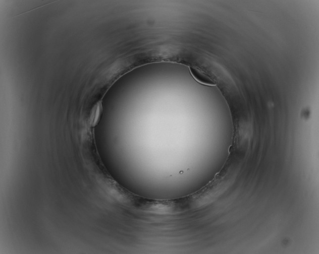 X0000102230236200807251242
