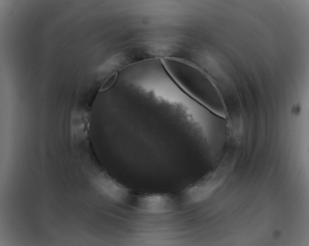 X0000102230237200807251242