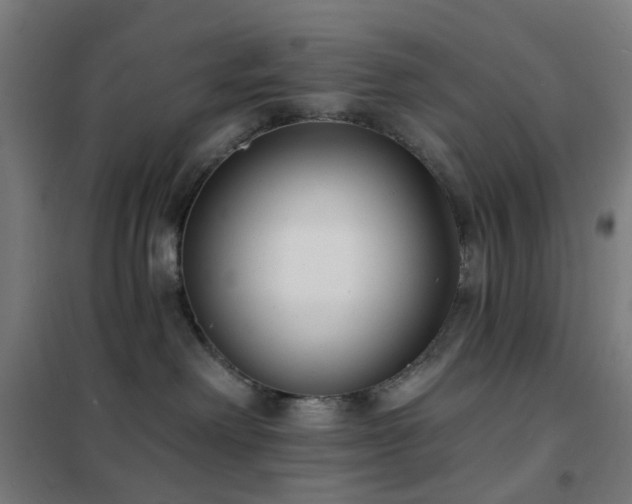 X0000102230238200807251242