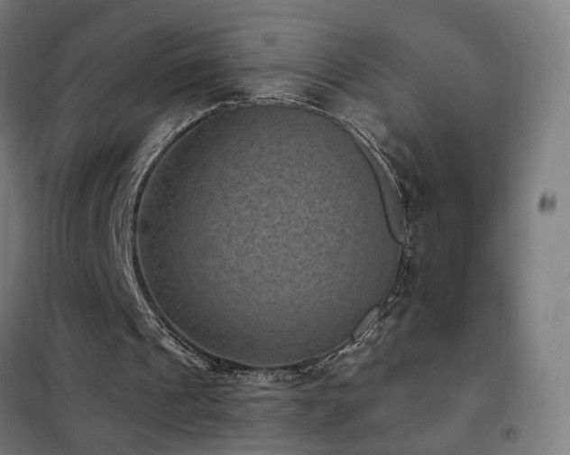 X0000102230241200807251241