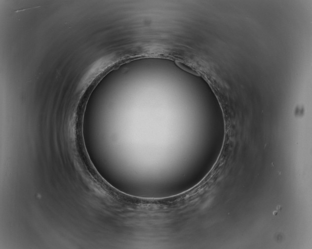 X0000102230242200807251241