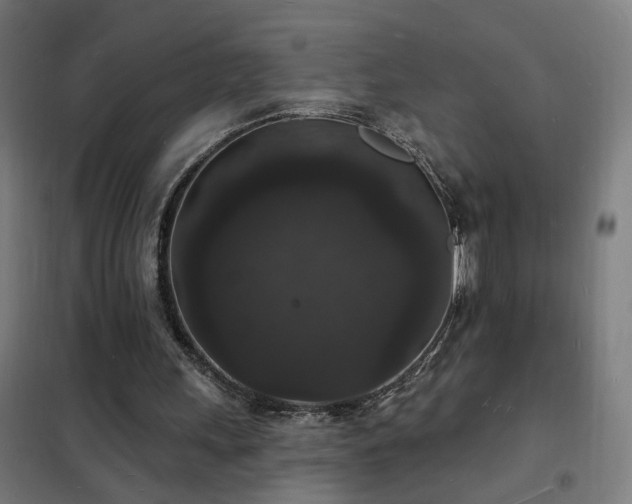 X0000102230243200807251241