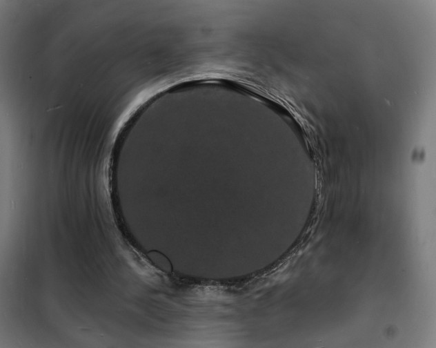 X0000102230244200807251241