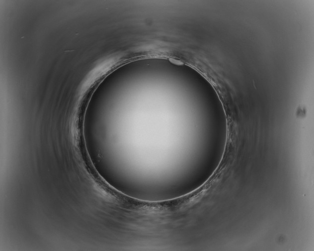 X0000102230245200807251241