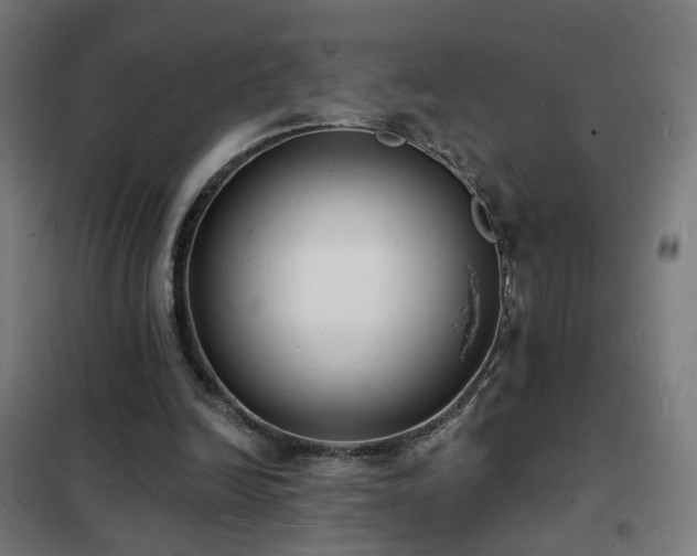 X0000102230246200807251241