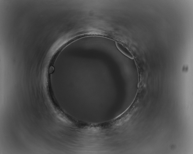 X0000102230247200807251241