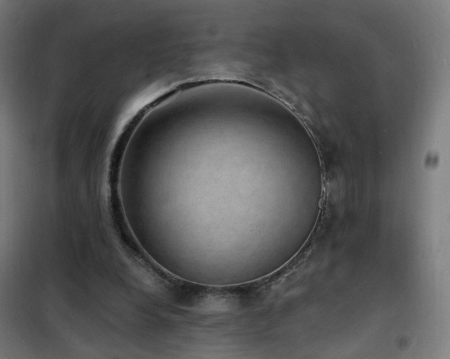 X0000102230248200807251241