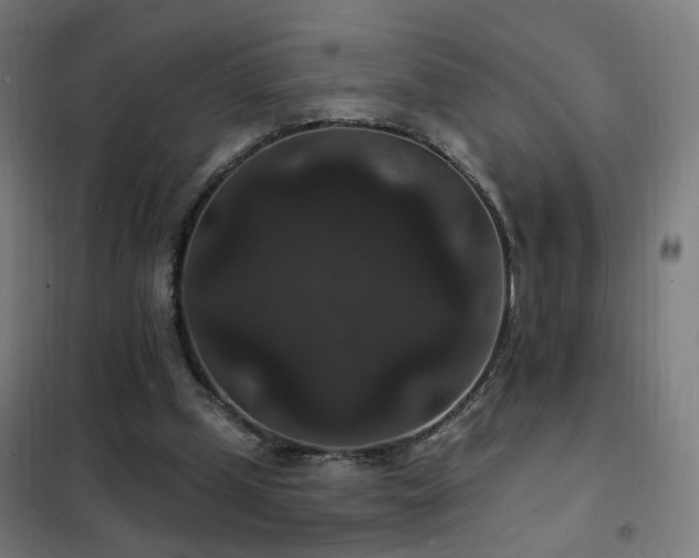 X0000102230249200807251241