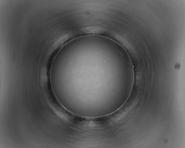 X0000102230254200807251241