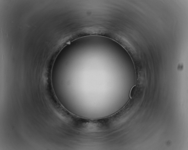 X0000102230255200807251241