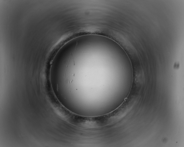 X0000102230256200807251241