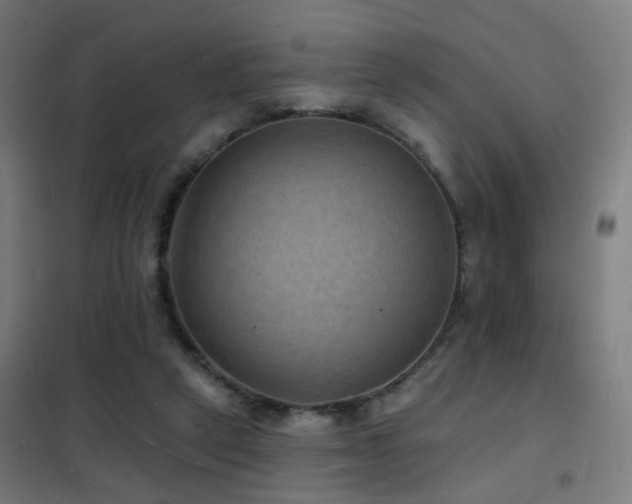 X0000102230257200807251241