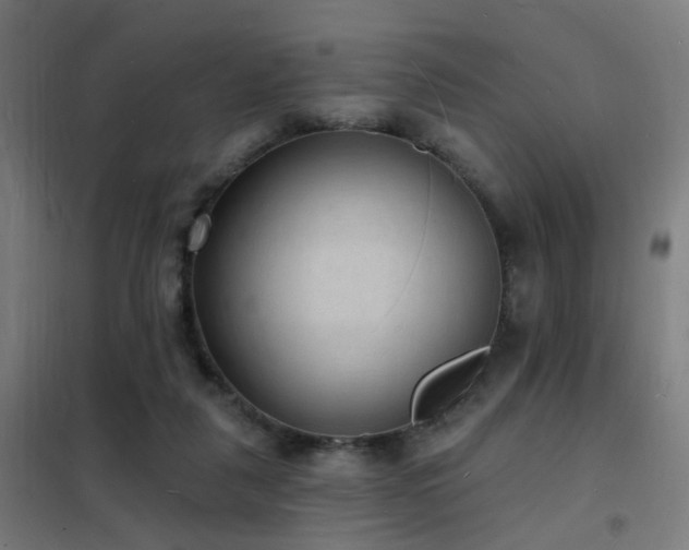 X0000102230259200807251241