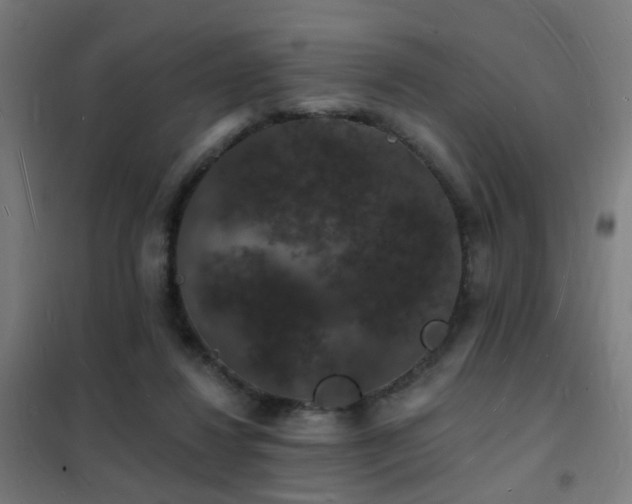 X0000102230260200807251241