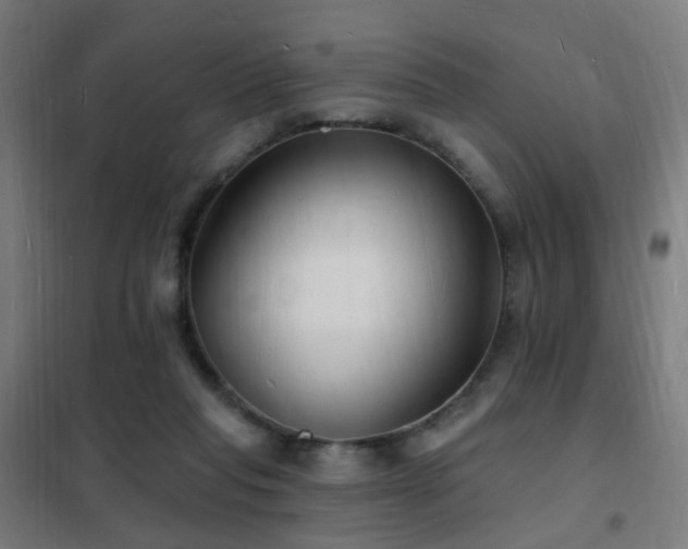 X0000102230261200807251241