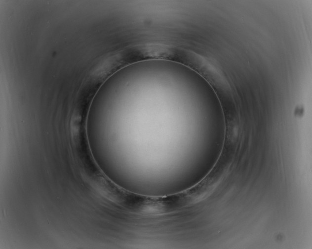 X0000102230263200807251241