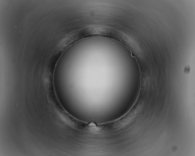 X0000102230265200807251241