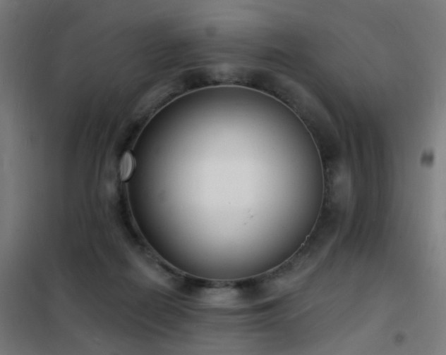 X0000102230266200807251241